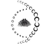 VANZACK Dilatatori per Orecchio in Acrilico Nero, Calibro 3-12mm, Set e Espansore Auricolare per Piercing, Principianti e Professionisti