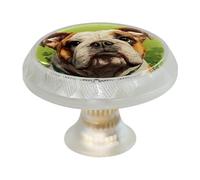 VAPOKF 4 pomelli rotondi trasparenti per armadietti con bulldog del giorno di San Patrizio, pomelli rotondi trasparenti da 35 mm, maniglie per ante di armadietti, maniglie per porte e maniglie, per