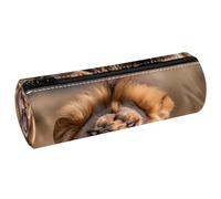 VAPOKF Astuccio per matite con stampa di leone ruggente, in pelle PU, astuccio per cancelleria per studenti, astuccio per trucchi, per donne, ragazze, ragazzi, bambini, scuola e ufficio, Multi