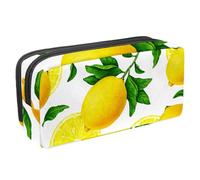 VAPOKF Astuccio per penne, matite, cancelleria per studenti, per ragazzi, ragazze, scuola e ufficio, con frutta, agrumi, giallo limone, Multi, 2.3x8.2x3.9in/6x21x10cm, Organizer per borse