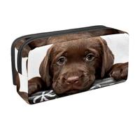 VAPOKF Astuccio portapenne per studenti, cancelleria per adolescenti, ragazzi e ragazze, forniture scolastiche e per ufficio, motivo: cucciolo di Chesapeake Bay Retriever, Multi,