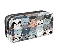 VAPOKF Astuccio portapenne per studenti con cerniera, per ragazzi e ragazze, articoli per la scuola e l'ufficio, divertenti gatti pazzi, Gatti divertenti con occhiali e cuffie, 2.3x8.2x3.9in/6x21x10cm