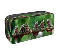 VAPOKF Astuccio portapenne per studenti con cerniera, per ragazzi e ragazze, materiale scolastico e ufficio, motivo koala e girasole, Australian White Tree Frog si siede sul ramo,