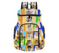 VAPOKF Zaino da basket, borsa sportiva con scomparto per palline e scarpe per calcio, calcio, pallavolo, nuoto, palestra, viaggi, motivo ritratti di gatti