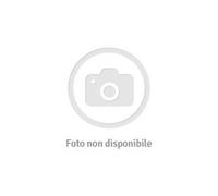 POLTI - Vaporetto Capacit 0.2 L Potenza 1000 Watt Colore Bianco / Blu