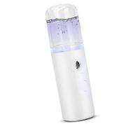 Vaporiera per il viso, Mister per il viso nano, Mini vaporizzatore per il viso con ricarica USB, Umidificatore per il viso USB portatile per la cura della pelle da 30 ml Spa per viso per