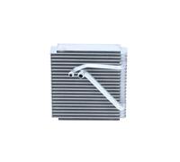 Vaporizzatore Aria Condizionata Nessun Valvola 235 MM - NRF per U. A. VW Golf