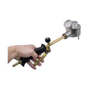 Vaporizzatore di acido ossalico Vaporizzatore for acido ossalico propano for il controllo degli acari Varroa for api Trattamento acari Varroa Attrezzatura for apicoltura Apicoltura