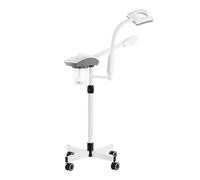 Vaporizzatore facciale con lampada lente e funzione ozono D-21 bianco