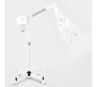 Vaporizzatore facciale professionale, vaporizzatore facciale per estetista, nebbia calda all'ozono, Home SLAON SPA