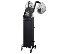 Vaporizzatore professionale for capelli nano con 2 cappucci vaporizzatori, macchina for il trattamento dell'olio di ozono con micro nebulizzazione da 700 W(Black)