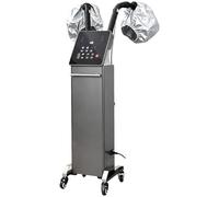 Vaporizzatore professionale for capelli nano con 2 cappucci vaporizzatori, macchina for il trattamento dell'olio di ozono con micro nebulizzazione da 700 W(Gray)