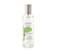 VAPORIZZATORE SPRAY PER AMBIENTE 100ML ARANCIO E TE' VERDE ESTEBAN
