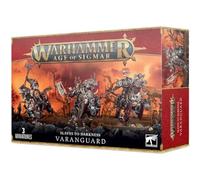 Varanguard Cavalieri della rovina schiavi dell'oscurità