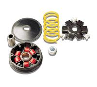 Variator Malossi Multivar für Honda Dio/Vision Wallaroo, Fox Rapido ST 50cc, Gegendruckfeder: weiss, Gewicht 50