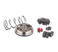 Variator Malossi Multivar per , sdraiato, molla di contropressione, bianco, peso: 16 x 13 mm - 8,5 gr Peugeot, Buxy, Elyseo, Elystar, Looxor, Speedake, New Vivavity, Vivacity, Speedfight 1, 2, Squab, Splinter, TKR, Trekker Zenith 50