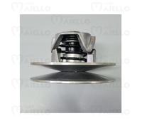 Variatore cambio puleggia frizione chatenet ch16 ch22 ch26 ch30 senza modifiche