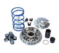 VARIATORE COMPLETO DI RULLI POLINI PER PIAGGIO CARNABY 300 HI-SPEED 241.665