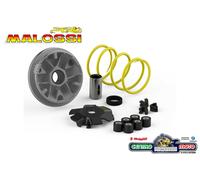 Variatore Completo Malossi Multivar Scooter HONDA SHADOW 50 2T ( AF18E )
