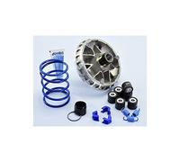 VARIATORE HI-SP.SYM JOYMAX-CRUISYM 300