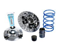 VARIATORE HI-SPEED 12 RULLI POLINI PER HONDA SH 350 2021