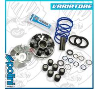 VARIATORE HI-SPEED EVOLUTION 2 GILERA RUNNER 50 SP POGGIALI