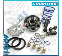 Variatore POLINI Hi-Speed Evolution-Motor Piaggio per Moto Ricambi Ciclomotore