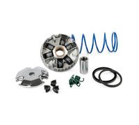 Variatore Hi-Speed Polini Minarelli verticale