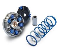 Variatore Hi-Speed Polini Scooter Minarelli Orizzontale 241.670