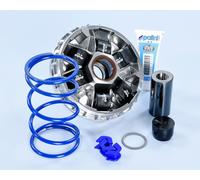 VARIATORE HI-SPEED POLINI SYM CRUISYM 300 HD 300 JOYMAX Z+ 300 JOYRIDE 300 EURO5