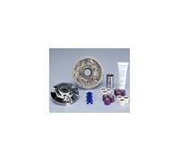 Variatore POLINI Yamaha 125 (241646) per Moto Ricambi Ciclomotore