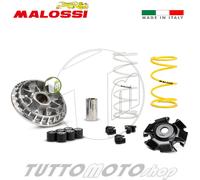 Variatore HONDA Forza 125 ie 4T LC E3 2016 / 125ie MALOSSI 5119875 JF60E
