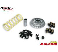 MALOSSI 5113892 VARIATORE MULTIVAR 2000 KYMCO XCITING - XCITING R 300 ie 4T LC