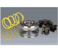 VARIATORE MALOSSI MBK-YAMAHA 125 5113134