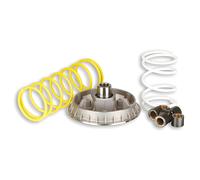 variomatik MALOSSI MULTIVAR 2000 per Honda Pantheon 125 - 150 CC 2 tempi
