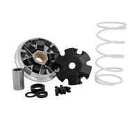 Variatore Malossi Multivar 2000 Benelli 491 / Beta Ark 50 2T Minarelli