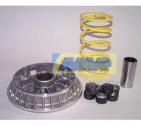 VARIATORE MALOSSI MULTIVAR 2000 MOTORI PIAGGIO 500 4T 6 RULLI MALOSSI 5111808