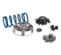 VARIATORE malossi multivar 2000, per Peugeot 100 Elyseo/Looxor/SPEEDFIGHT/SV/TREKKER/VIVACITY/X-Fight, 2T AC 19 X 15,5 mm, 6 ruote, 9,3 G, per i modelli senza KAT