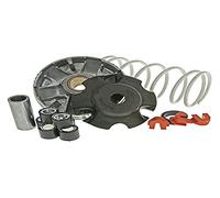 Variatore Malossi MULTIVAR 2000 per Piaggio Zip 2 50 | 19 x 15,5 mm, peso rulli 6,10 g, molla di contrasto bianca, OEM 5111597 compatibile con Aprilia SR 50 Motard AC Aria