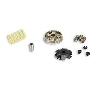 VARIATORE malossi multivar 2000 per Speedfight, Elyseo, Trekker, Vivacity 100 (secondo anno di costr. 9/99), Pesi: 19 X 15,5 mm - 11 G KAT di modelli 50