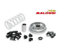 VARIATORE MALOSSI MULTIVAR 2000 per suzuki EPICURO 150 4T LC 5111324