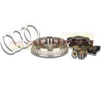 VARIATORE MALOSSI MULTIVAR 2000 PIAGGIO ZIP 125 4T (LEADER) 5111397