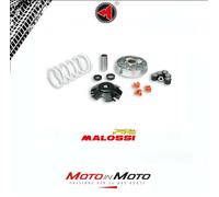 NUOVO KIT VARIATORE MALOSSI MULTIVAR 519019 SCOOTER PIAGGIO FREE 50 2T <-2000