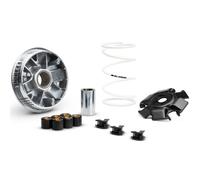 Variatore MALOSSI MULTIVAR 2000 VESPA GTS 310 2025 con rulli monolitici gr. 18