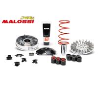 VARIATORE MALOSSI MULTIVAR 2000 YAMAHA BW'S ORIGINAL/NAKED 50 2T EU2 10 5115823