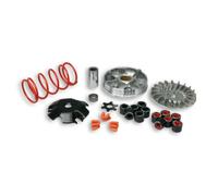 Variatore MALOSSI Multivar MHR Yamaha-Minarelli 5113161 per Moto Ricambi