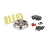 Variatore Malossi Multivar per Derbi Predator, Hunter, Paddock, molla di contropressione: bianco, pesi: 16x13mm - 7,00gr