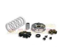 Variatore Malossi Multivar per scooter Kymco.DINK 50, K12 AGILITY 50cc 2T AC RS Kymco DINK 50, K12 AGILITY 50cc 2T AC RS