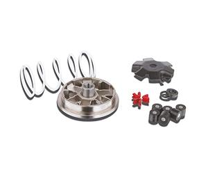 VARIATORE malossi multivar per, sdraiato, contropressione piuma: Bianco, Pesi: 16 X 13 mm - 8,5 gr, Peugeot Buxy, Elyseo, Elystar, Looxor, Speedake, New Viva Vity, Vivacity, Speedfight 1, 2