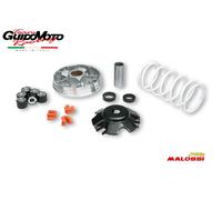 NUOVO KIT VARIATORE MALOSSI MULTIVAR 519019 SCOOTER PIAGGIO FREE 50 2T <-2000